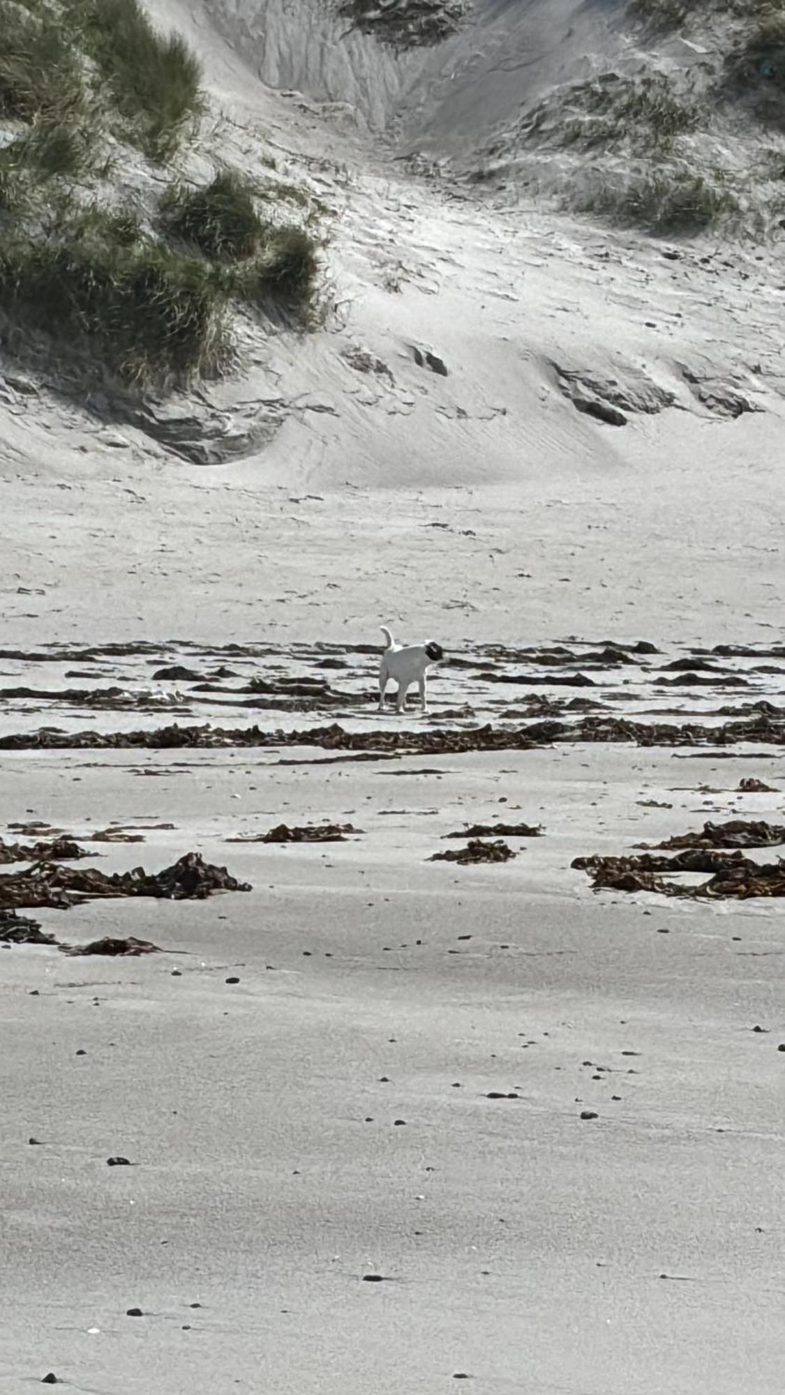 Seas The Day - Self Catering Lodge North Uist Paible Bagian luar foto