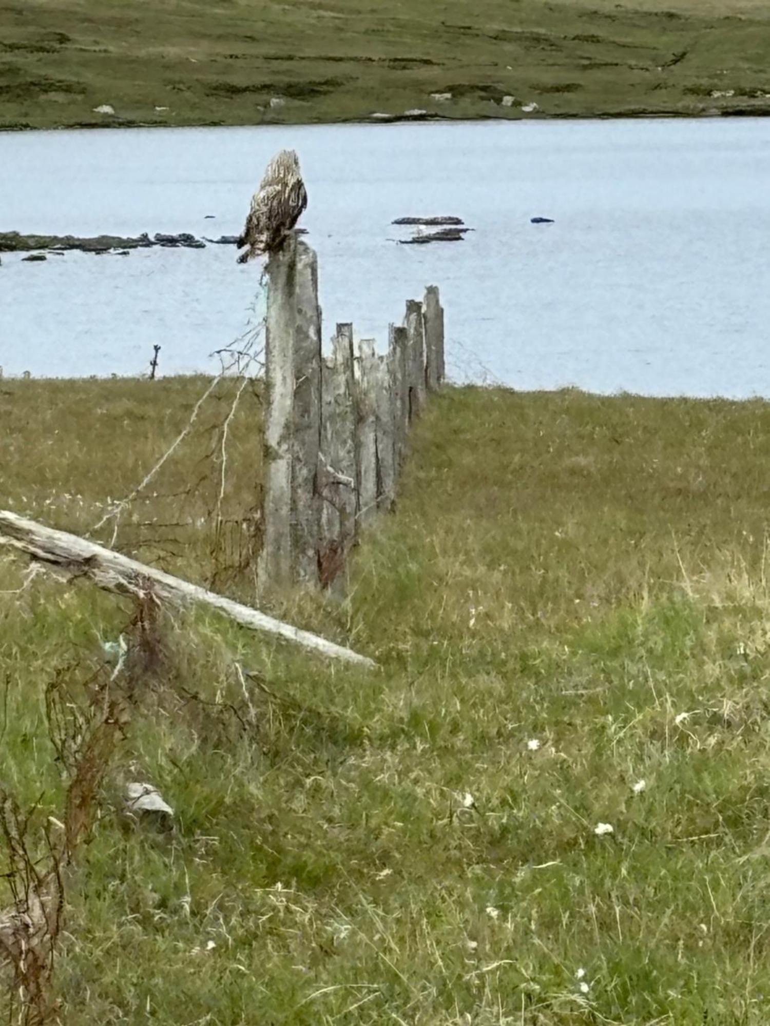 Seas The Day - Self Catering Lodge North Uist Paible Bagian luar foto