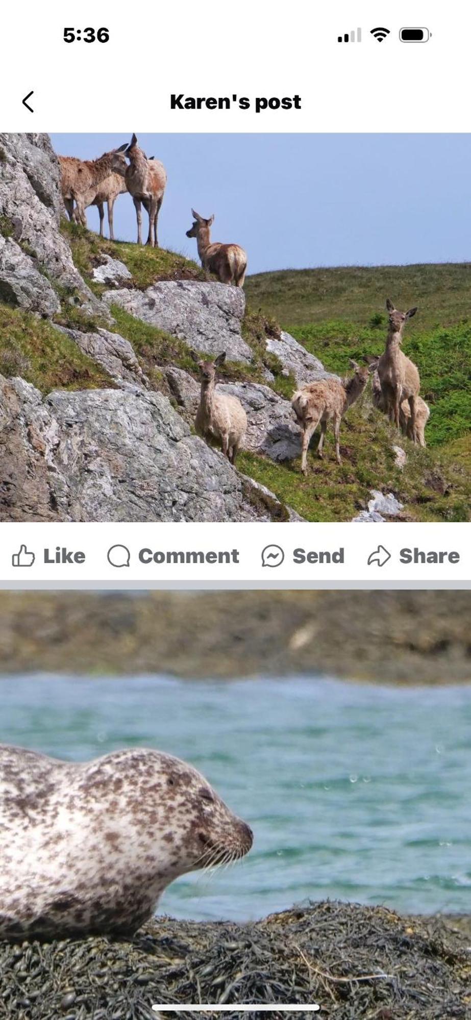 Seas The Day - Self Catering Lodge North Uist Paible Bagian luar foto